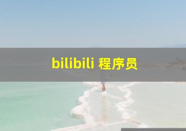 bilibili 程序员